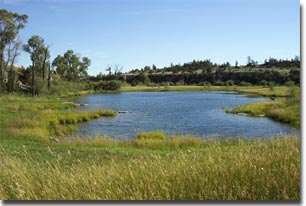 lake pond