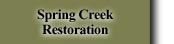 Spring Creek Restoration